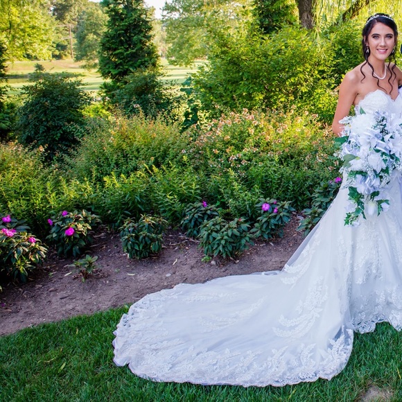 Wedding Dress - Picture 4 of 5